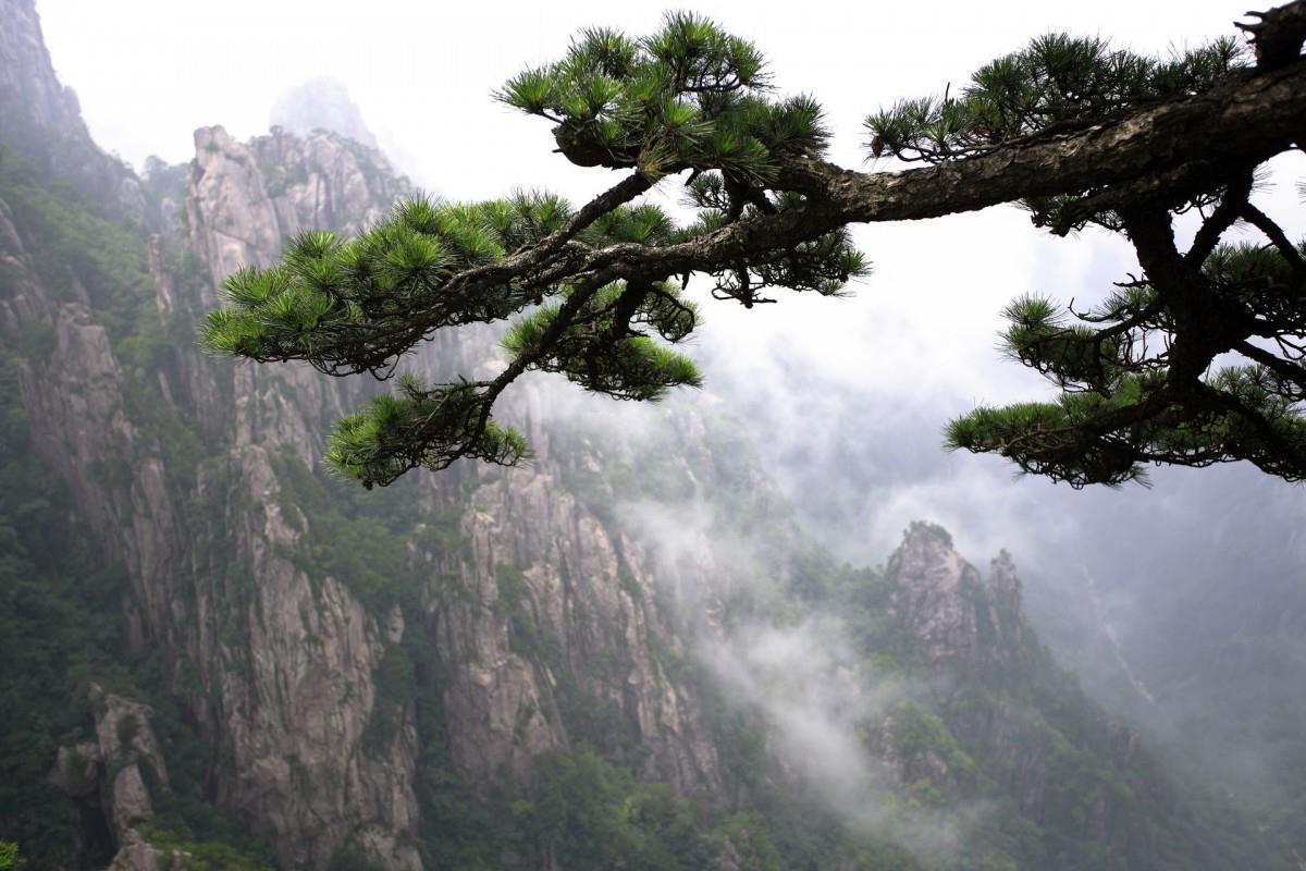 黄山国家地质公园风景图片