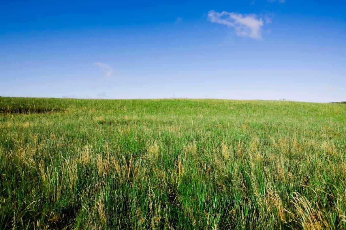 草原上的蓝天白云图片