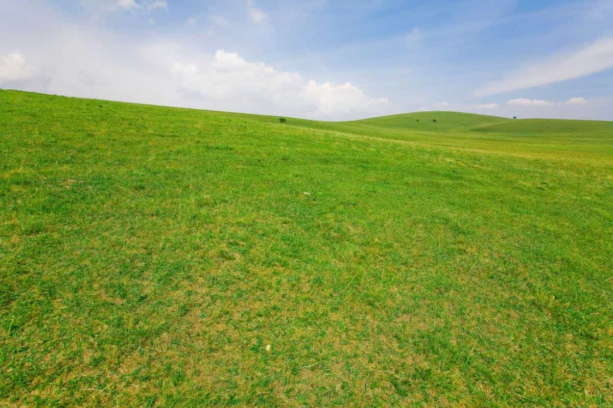 草原上的蓝天白云图片