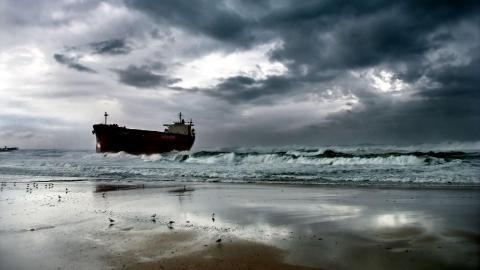 大海边自由翱翔的海鸥图片