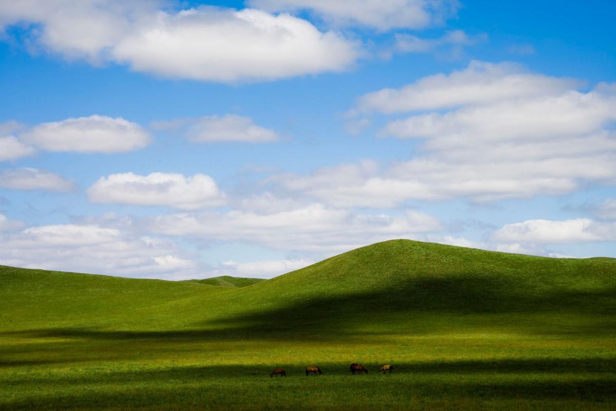 草原上的蓝天白云图片
