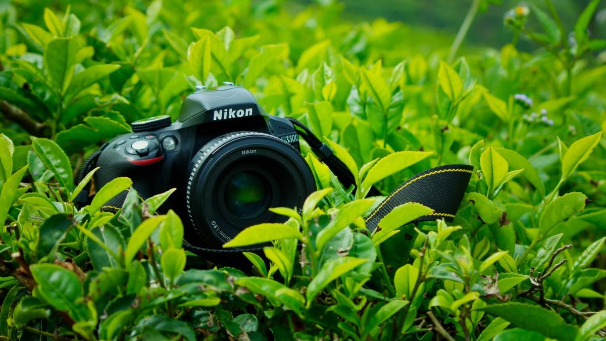 高清尼康品牌单反相机图片