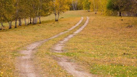秋天的森林与草原图片