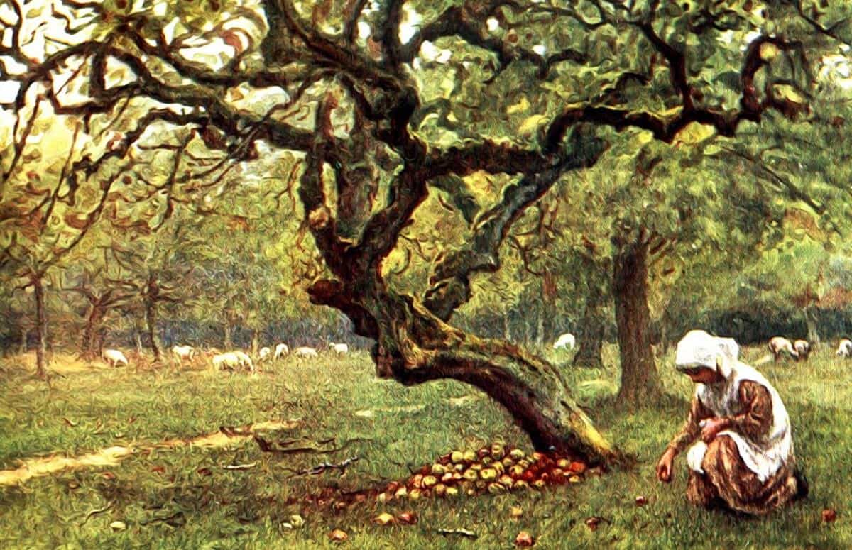 乡村风景水彩画图片