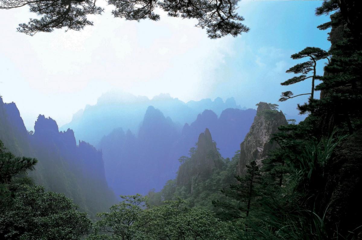 黄山景点云海图片