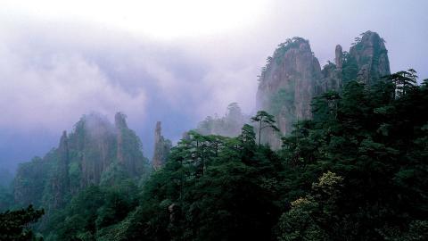 黄山景点云海图片