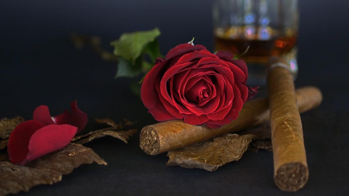 高清雪茄烟图片