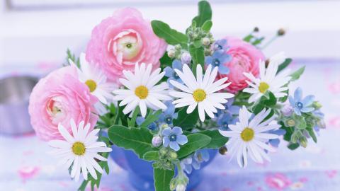 各色的鲜花图片