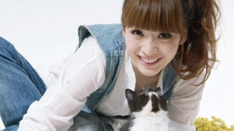 柳岩女主播最新图片