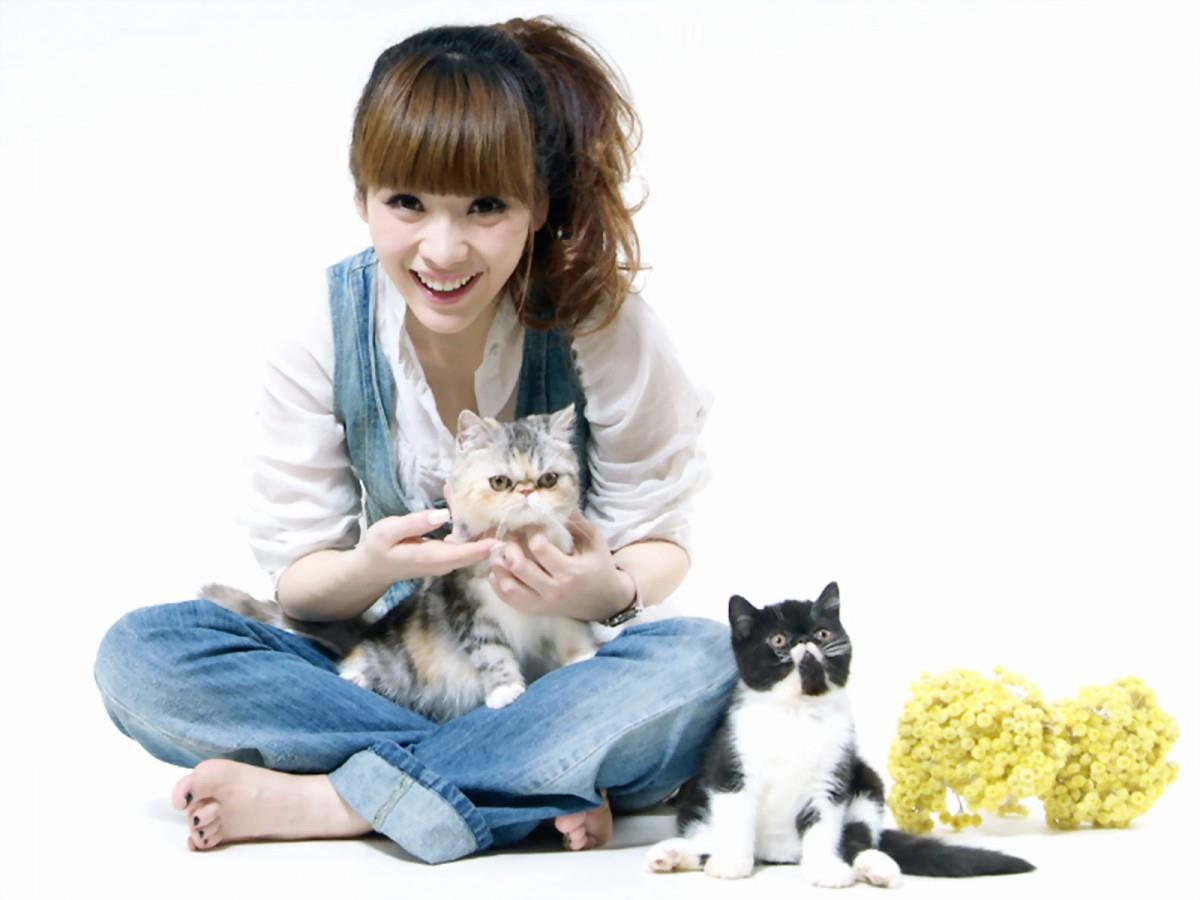 柳岩女主播最新图片