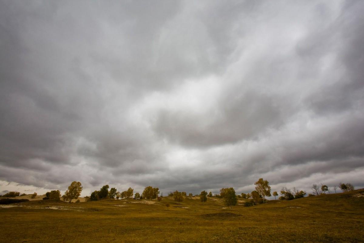 秋天的森林与草原图片