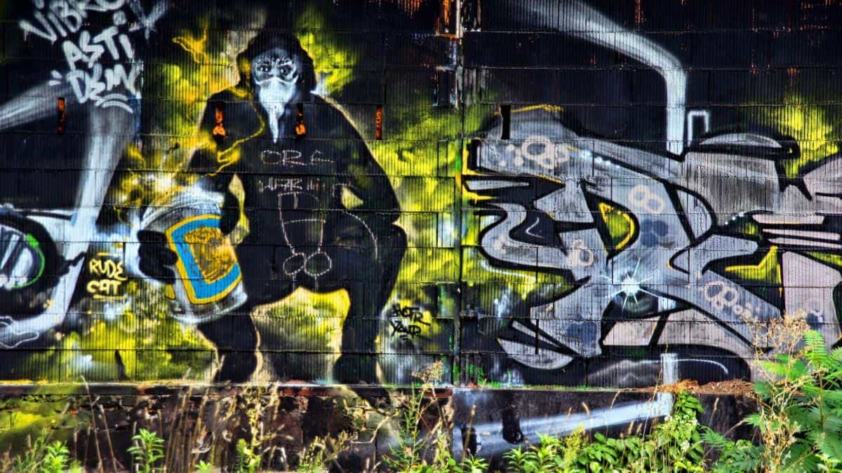 街头创意涂鸦图片