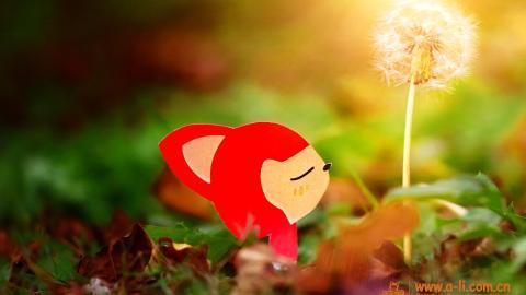 阿狸最新电脑图片