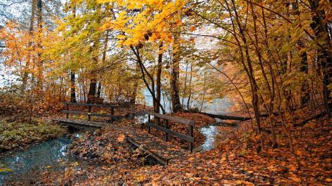 秋天的童话风景图片