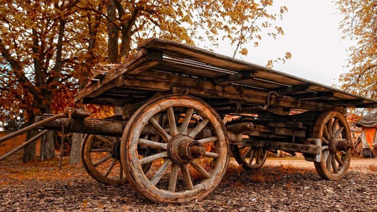 秋天的童话风景图片