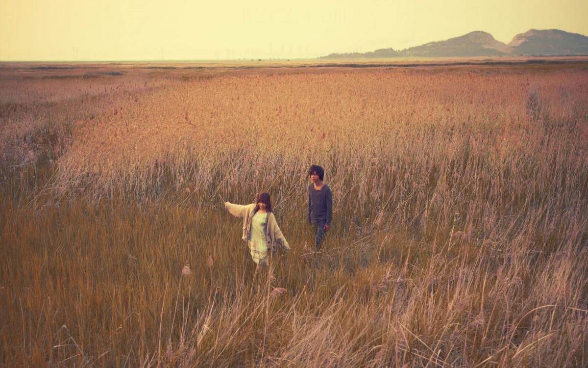 狼族少年韩剧图片