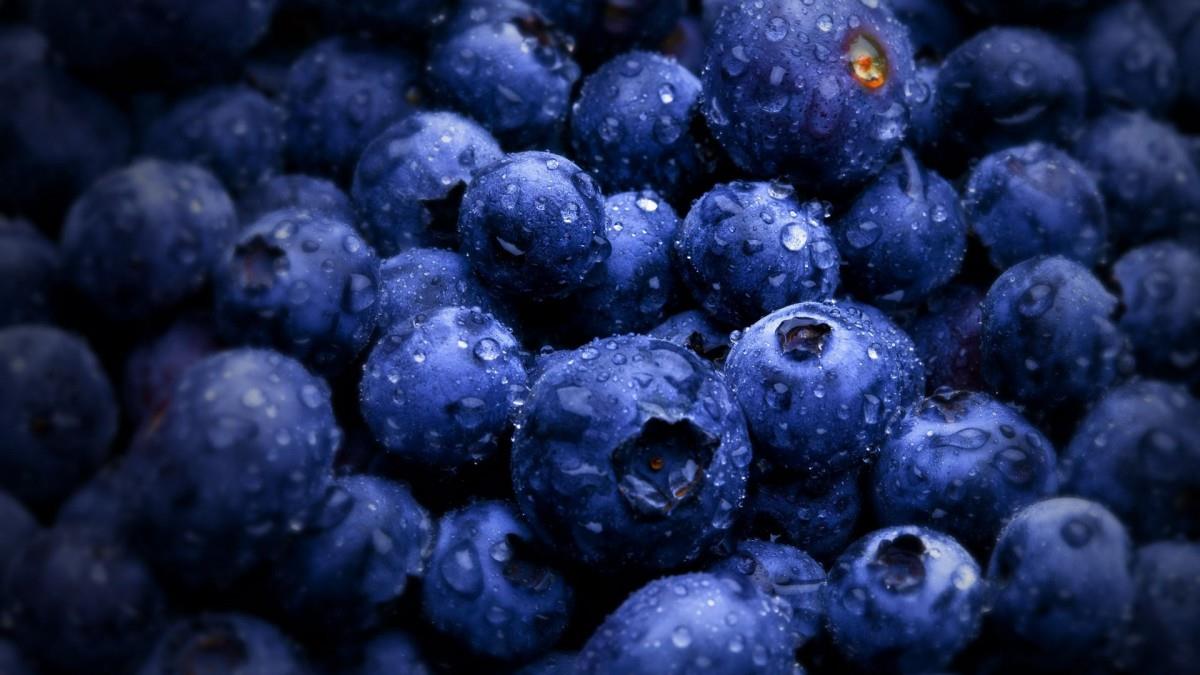 蓝莓高清图片