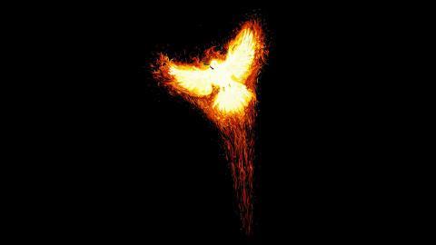 火凤凰卡通图案图片