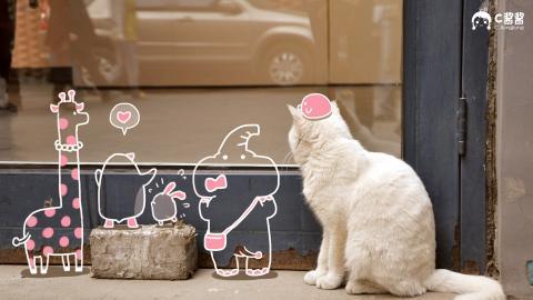 恶搞喵星人(猫咪)图片