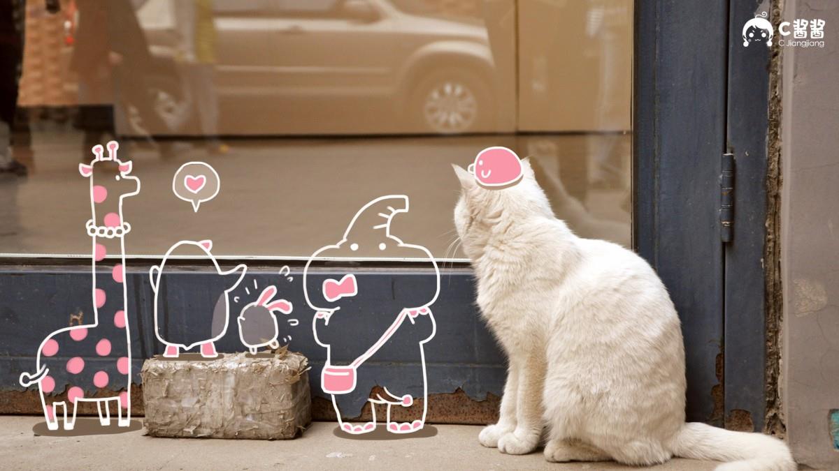 恶搞喵星人(猫咪)图片