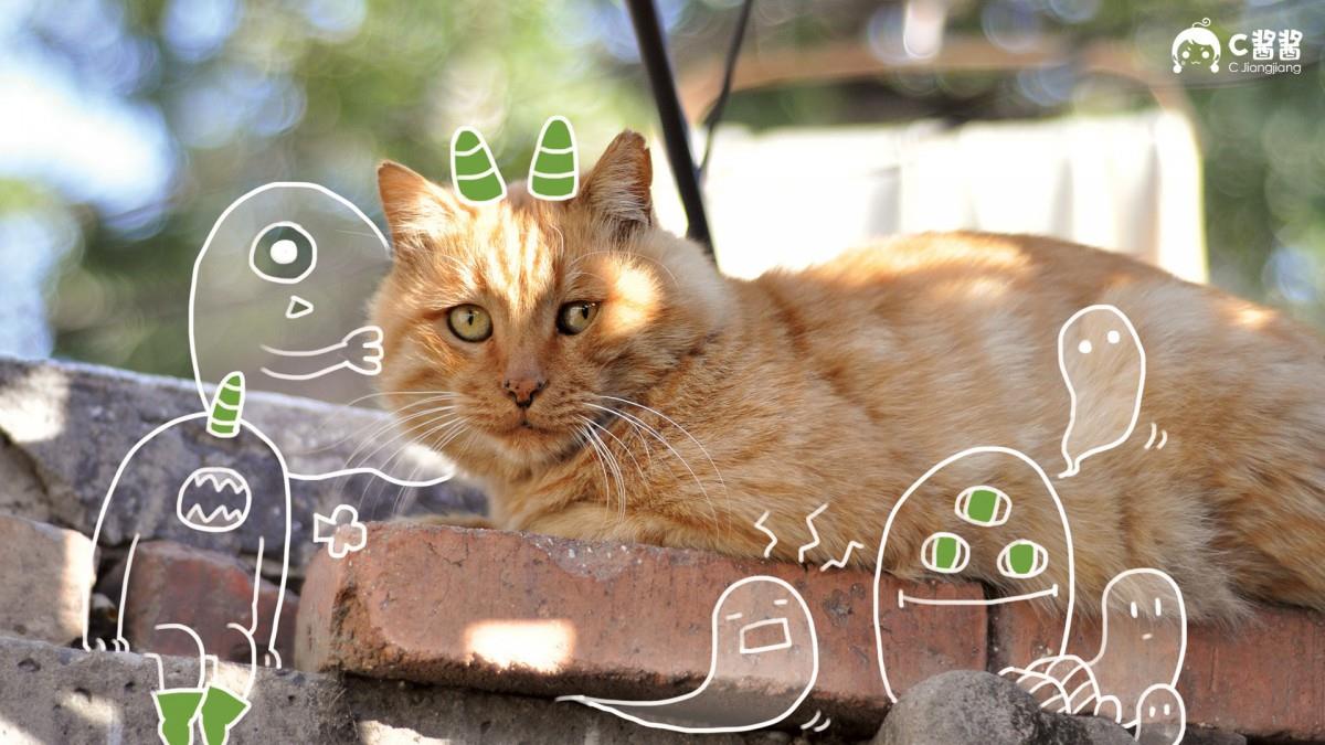 恶搞喵星人(猫咪)图片