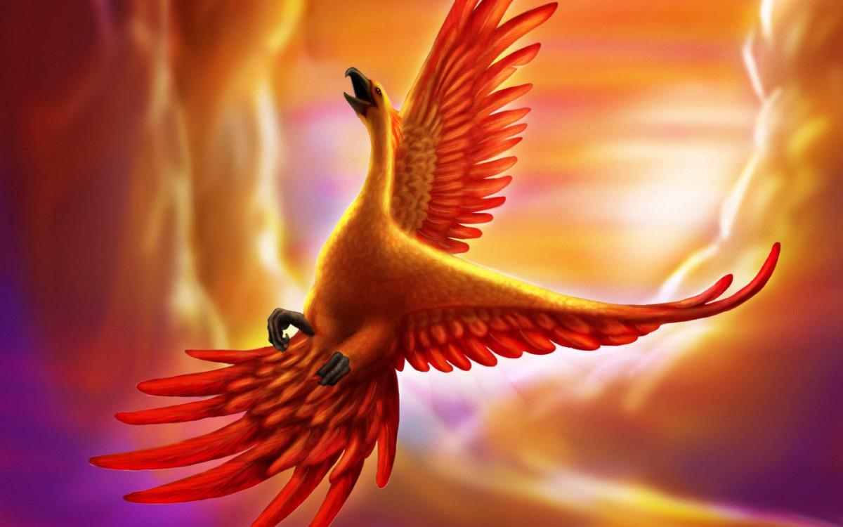 火凤凰卡通图案图片