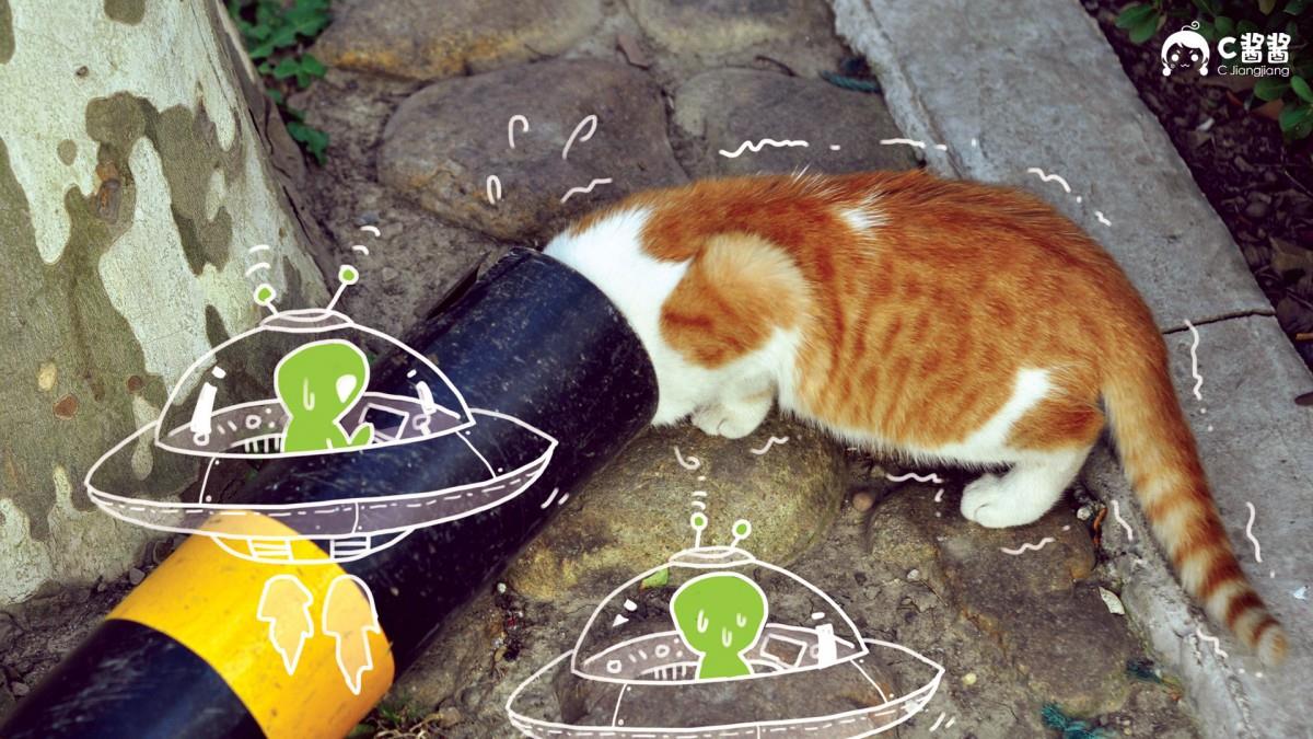 恶搞喵星人(猫咪)图片