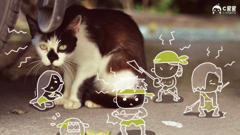 恶搞喵星人(猫咪)图片