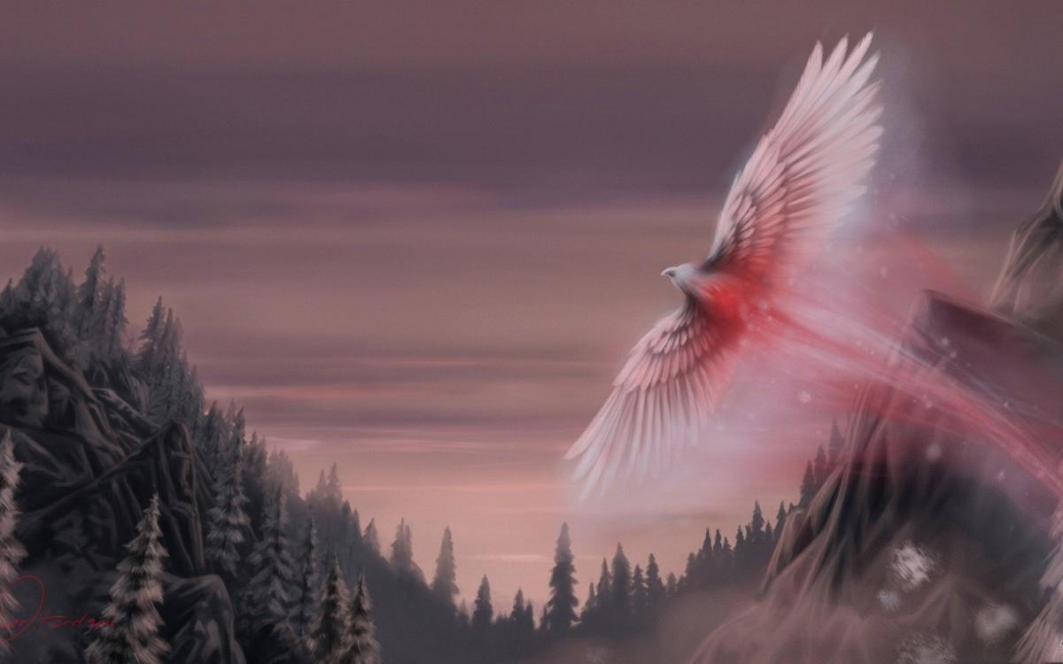 火凤凰卡通图案图片