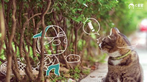 恶搞喵星人(猫咪)图片