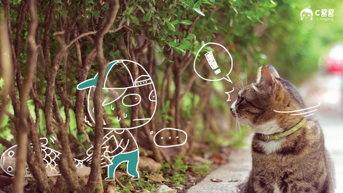 恶搞喵星人(猫咪)图片