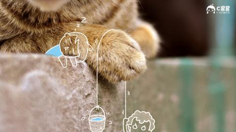 恶搞喵星人(猫咪)图片