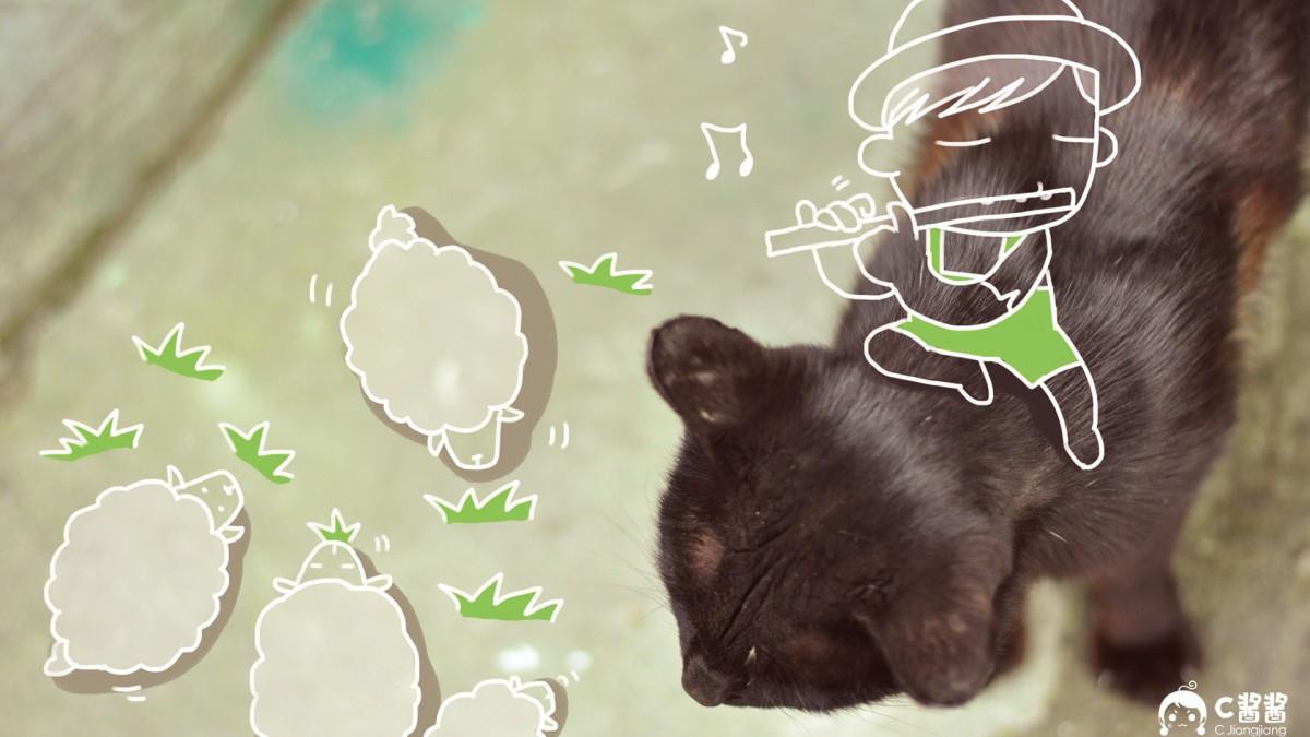 恶搞喵星人(猫咪)图片