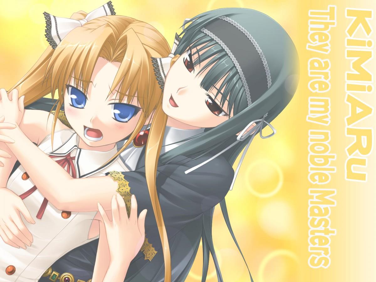 你是主人我是仆动漫图片