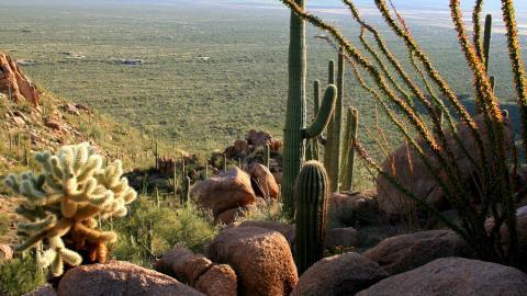 超高清沙漠戈壁风景图片