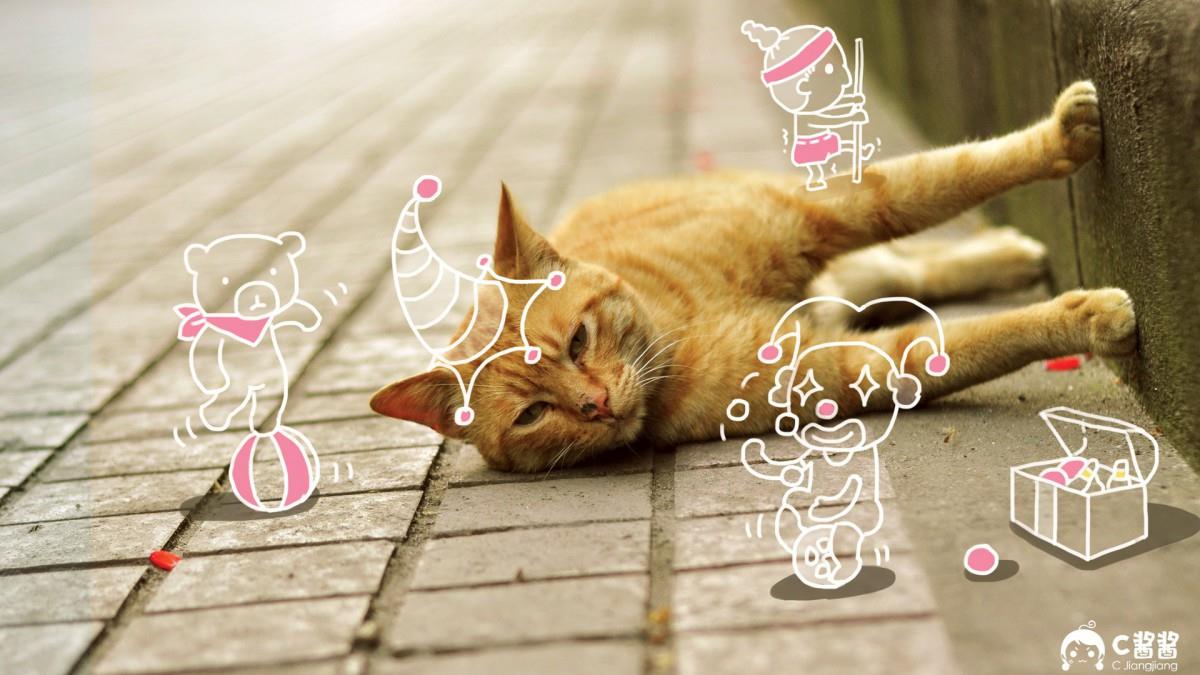 恶搞喵星人(猫咪)图片