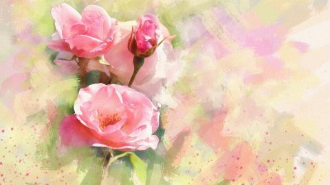 手绘花卉水彩画图片