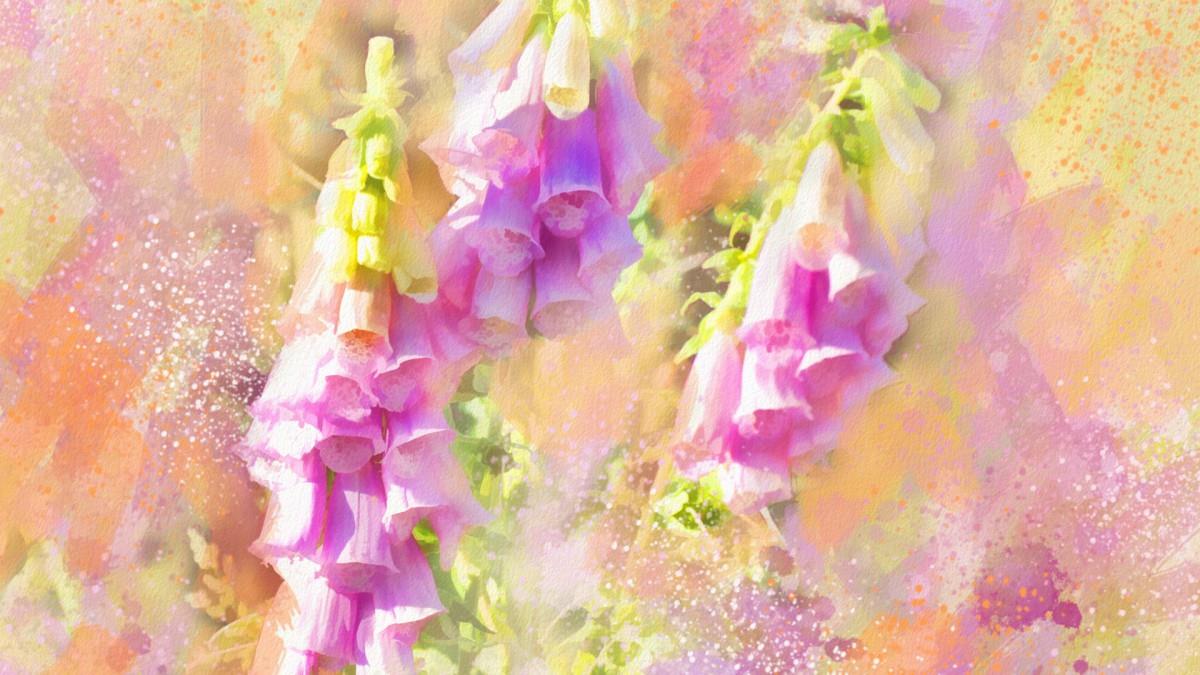 手绘花卉水彩画图片