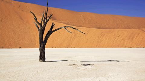 荒凉的沙漠戈壁风光