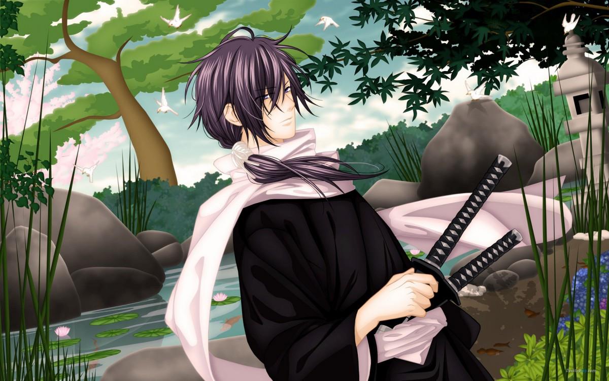 薄樱鬼动画图片