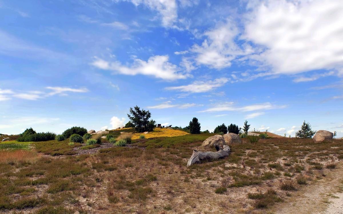 荒凉的沙漠戈壁风光