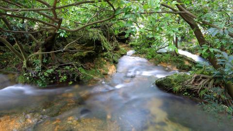旅游渡假胜地花溪公园图片