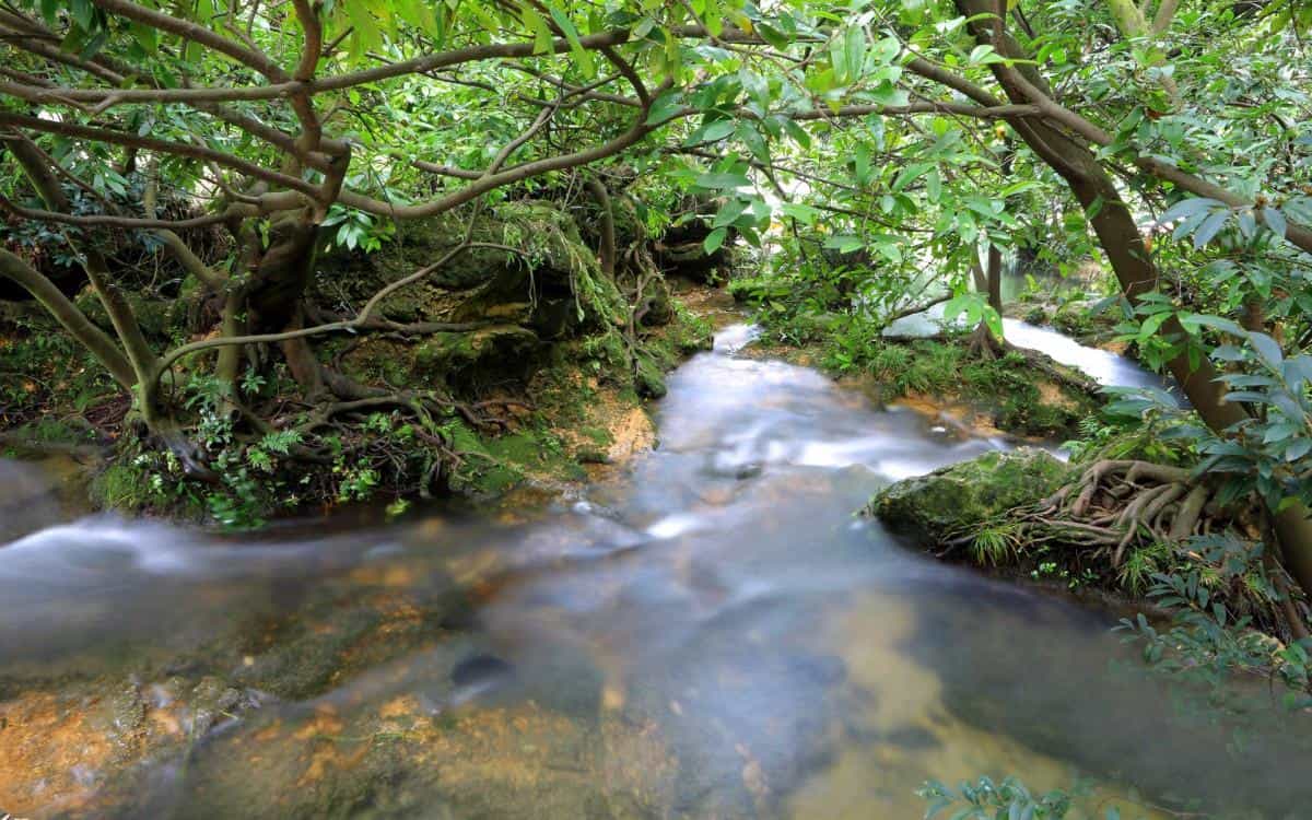 旅游渡假胜地花溪公园图片