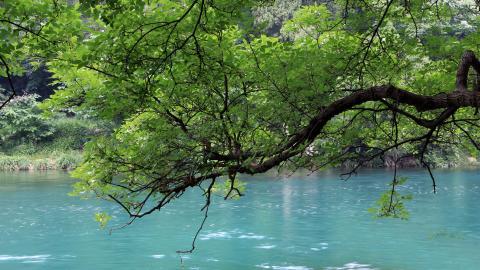 旅游渡假胜地花溪公园图片