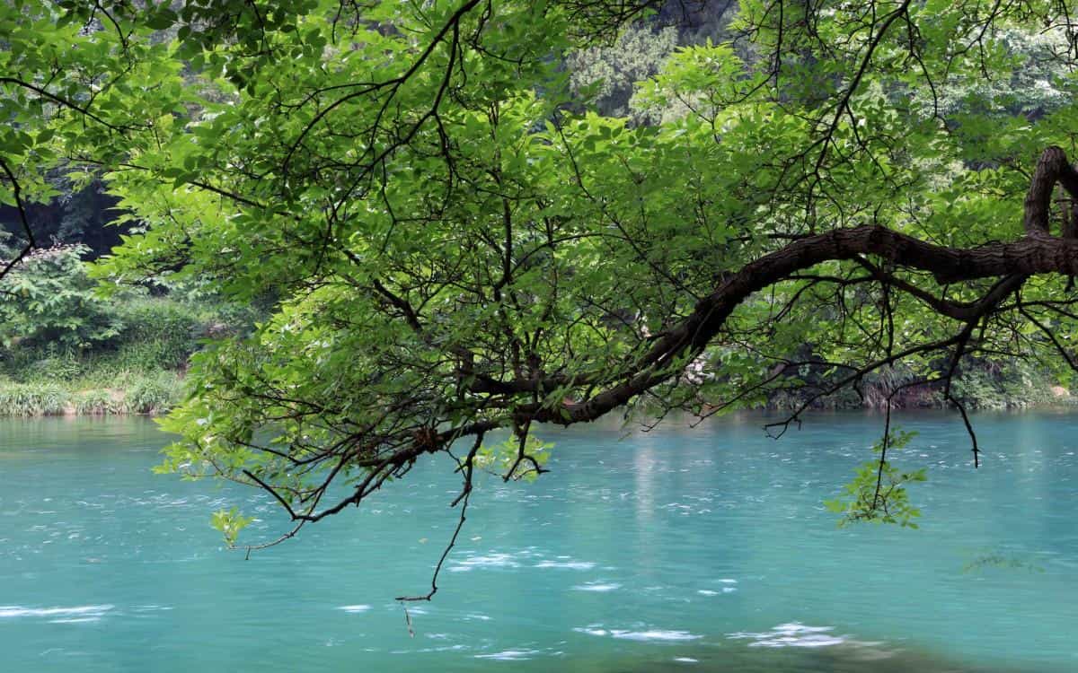 旅游渡假胜地花溪公园图片