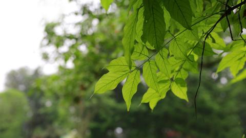 旅游渡假胜地花溪公园图片