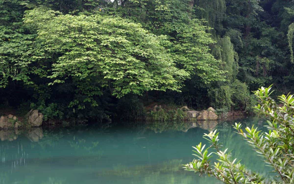旅游渡假胜地花溪公园图片