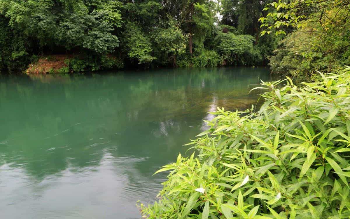 旅游渡假胜地花溪公园图片