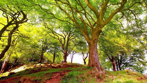 高清宽屏自然风景图片合集