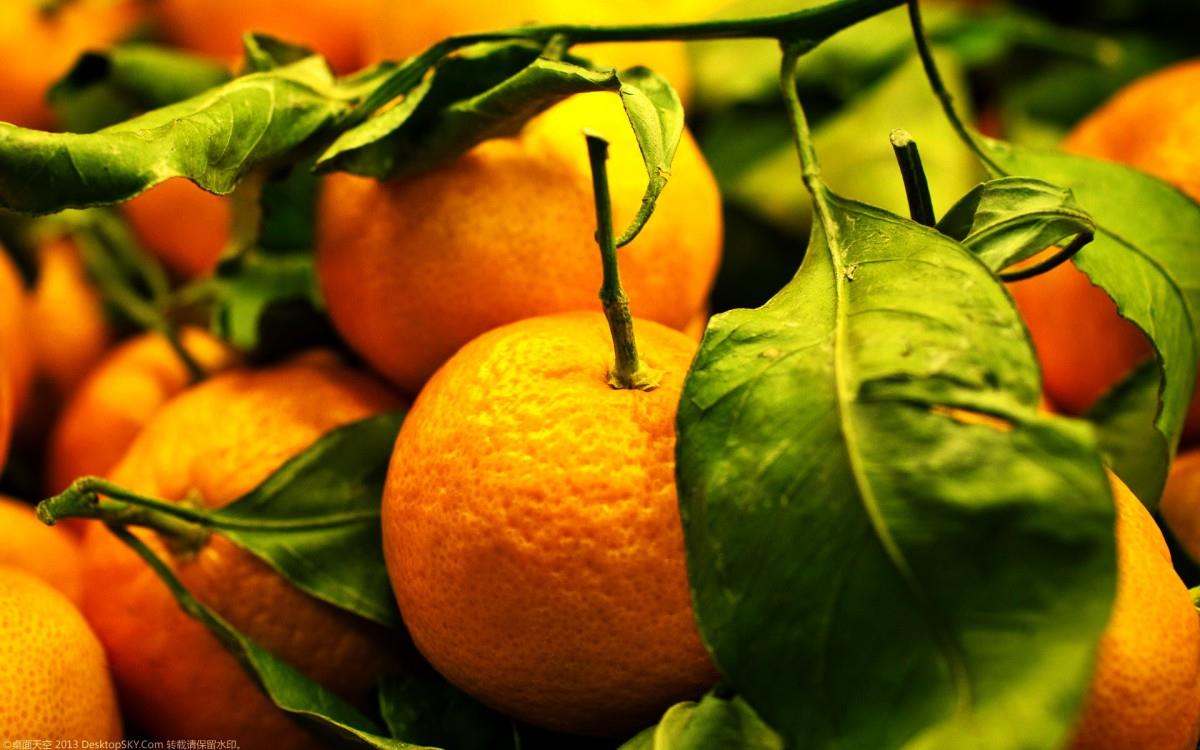 水果桔子高清图片